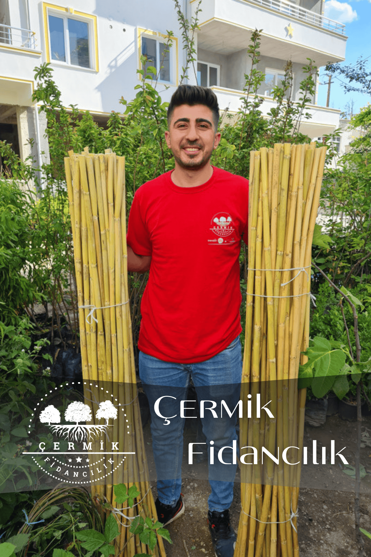 Bambu Fidan Bitki Destek Çubuğu 50 Adet 2 Metre Boy