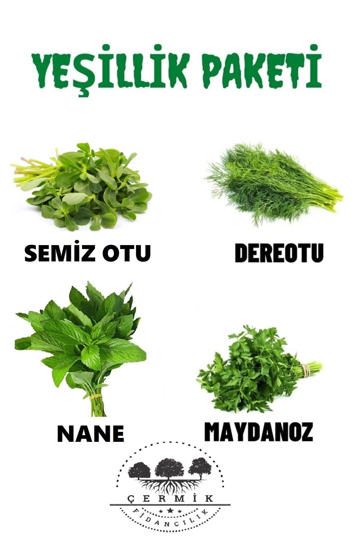 Tohum Paketi Semizotu , Dere Otu , Nane ,Maydanoz , 40 Gr