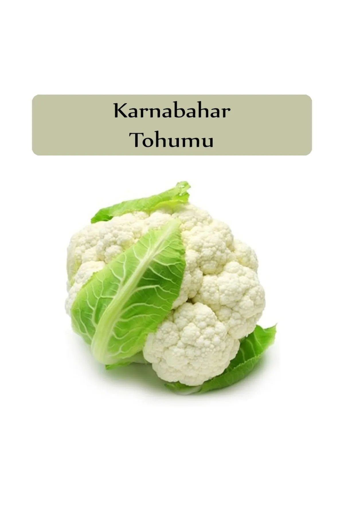 Karnabahar ( Karnıbahar ) Tohumu Paketi