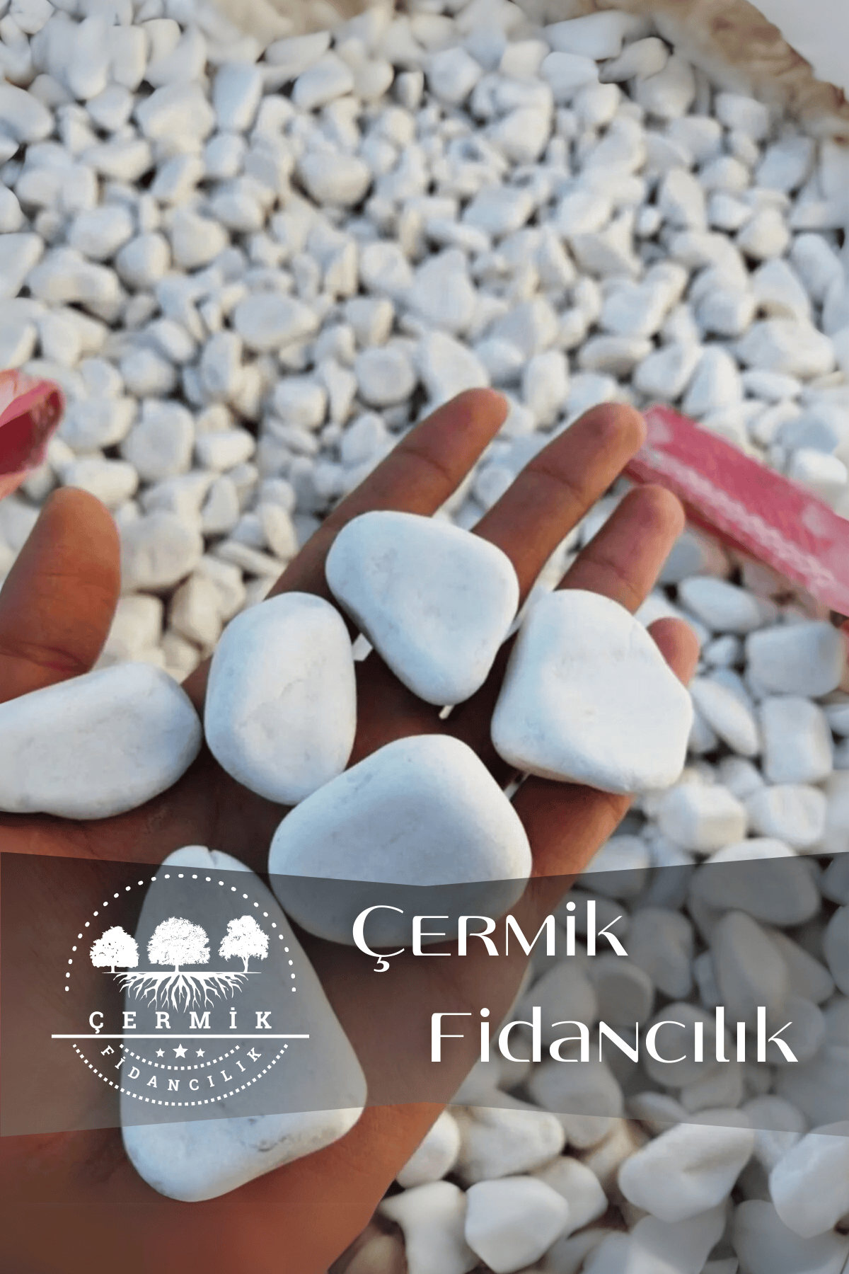 Beyaz Dolomit Taş 5 Kg 2-4 Cm Çakıl Taşı Bahçe Peysaj Süs Taşı