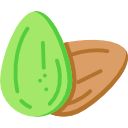 Tohumlar