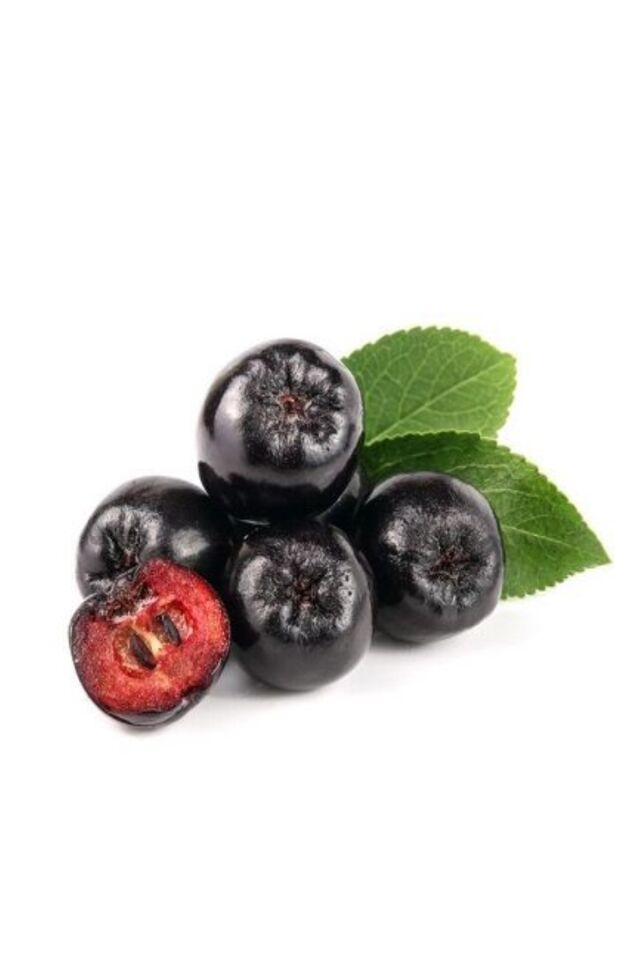 Viking Siyah Aronya ( Aronia Chokeberry ) Fidanı