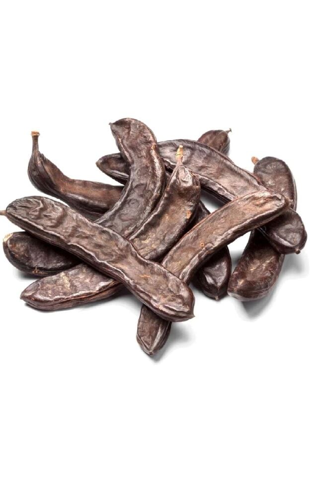 Tüplü Keçiboynuzu Harnup Meyve Fidanı