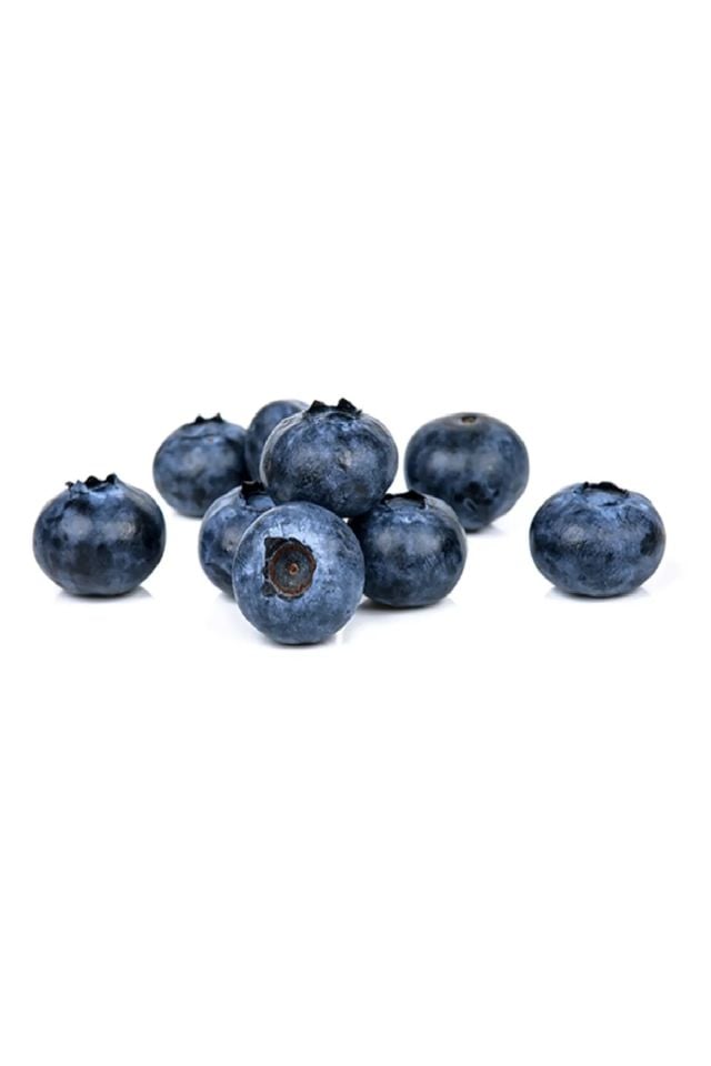 Tüplü Yaban Mersini ( Blue Berry ) Fidanı
