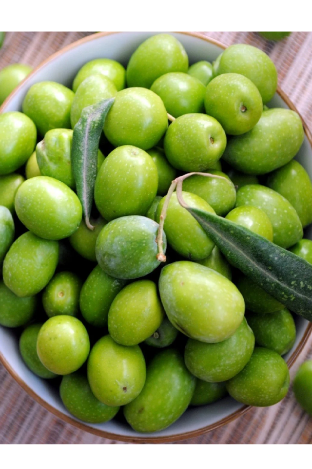 Gemlik Trilye Zeytin Fidanı Tüplü 2 Yaş