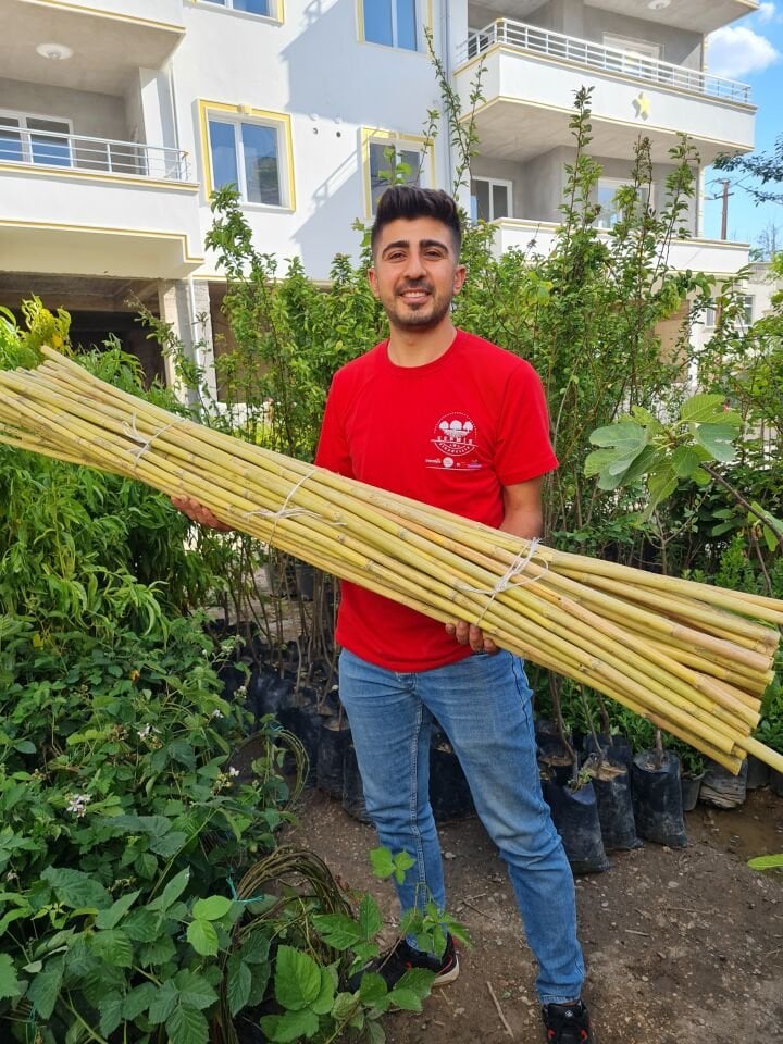 Bambu Fidan Bitki Destek Çubuğu 50 Adet 2 Metre Boy