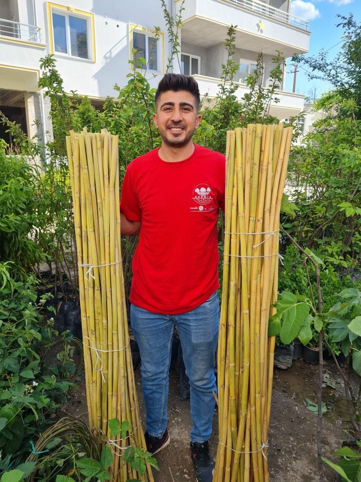 Bambu Fidan Bitki Destek Çubuğu 30 Adet 2 Metre Boy