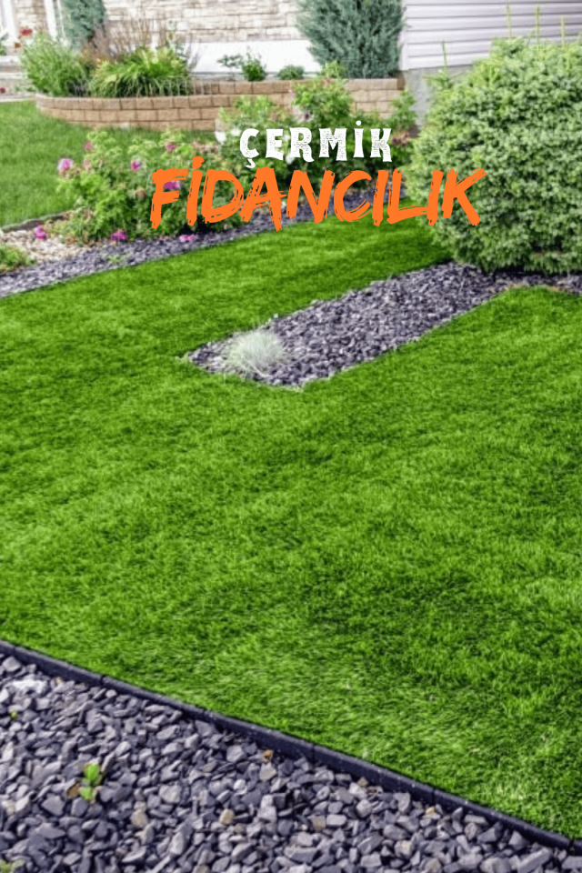 Dört Mevsim Ekilen 6 Karışımlı Çim Tohumu 500 Gr