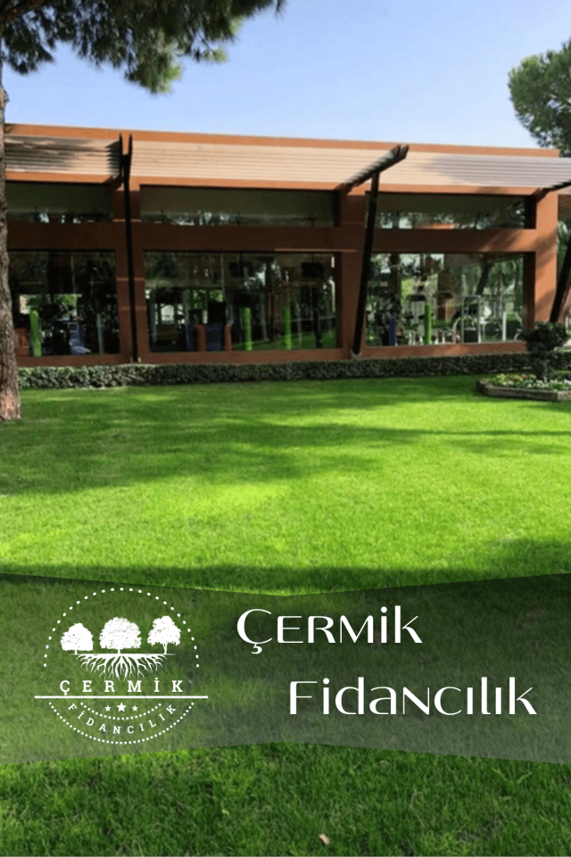 Dört Mevsim Ekilen 6 Karışımlı Çim Tohumu 1 Kg