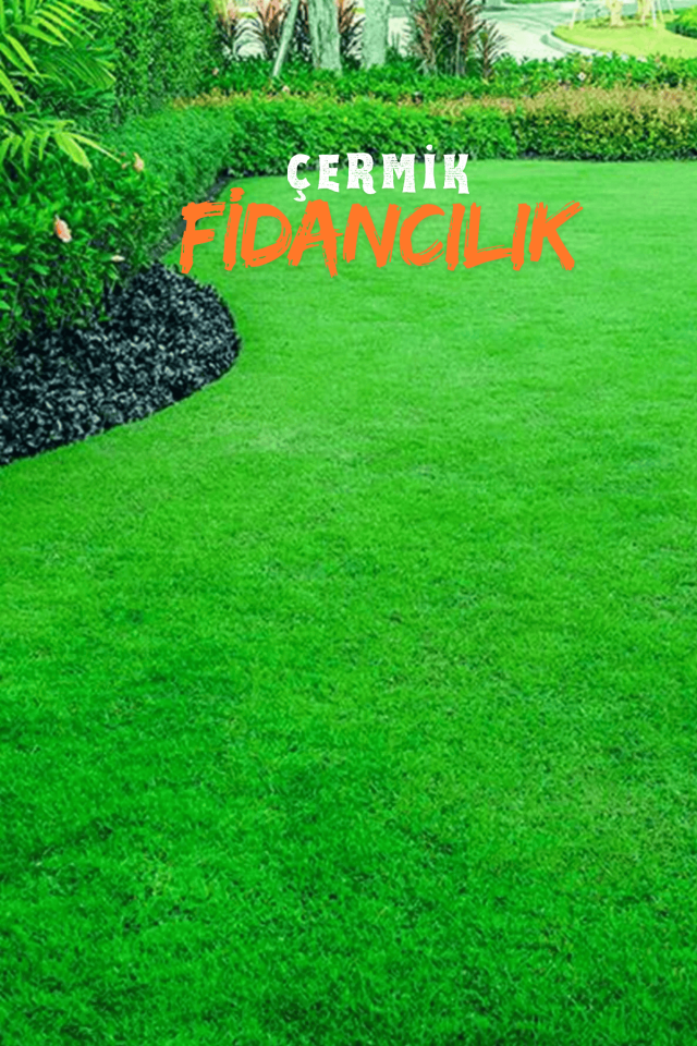 6 Karışımlı Dört Mevsim Ekilen Çim Tohumu 10 Kğ