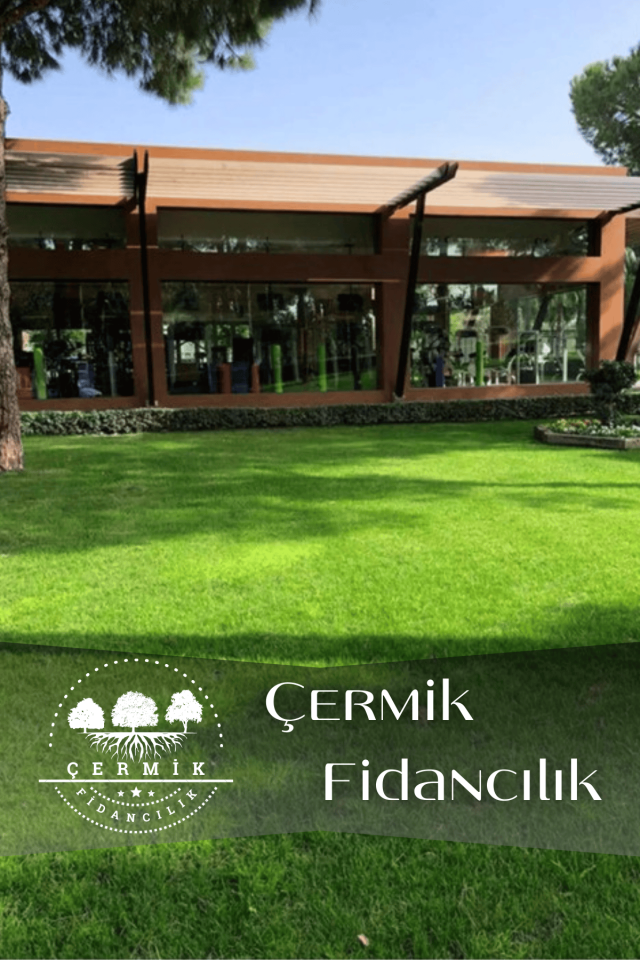 6 Karışımlı Dört Mevsim Ekilen Çim Tohumu 10 Kğ