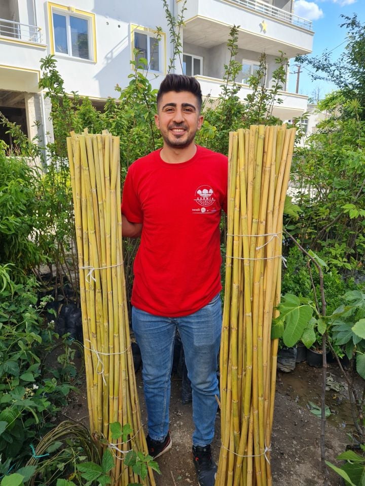 Bambu Fidan Bitki Destek Çubuğu 40 Adet 2 Metre Boy