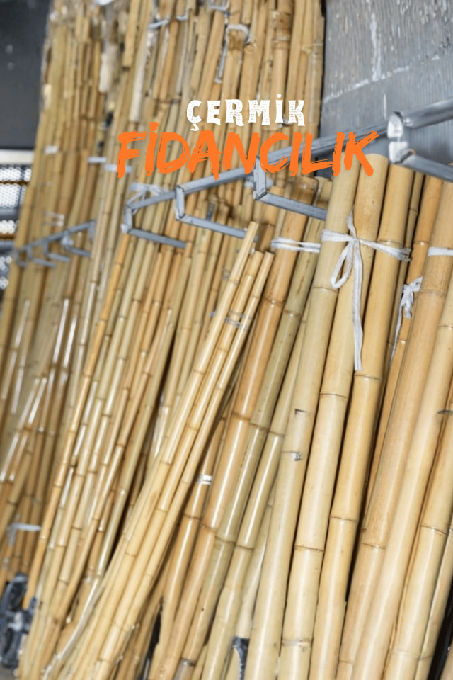 Bambu Fidan Bitki Destek Çubuğu 40 Adet 2 Metre Boy