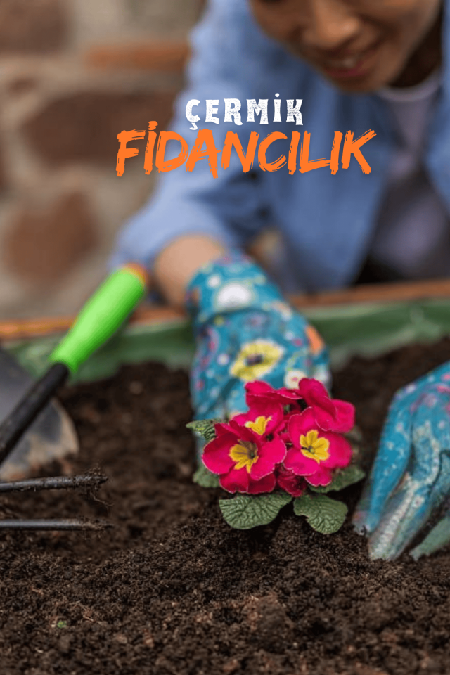 Organik Mineralli Gübreli Bitki Çiçek Torf Bitki Ve Saksı Toprağı 5 Litre