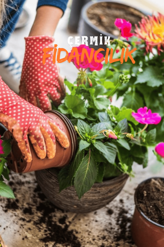 Organik Mineralli Gübreli Bitki Çiçek Torf Bitki Ve Saksı Toprağı 5 Litre