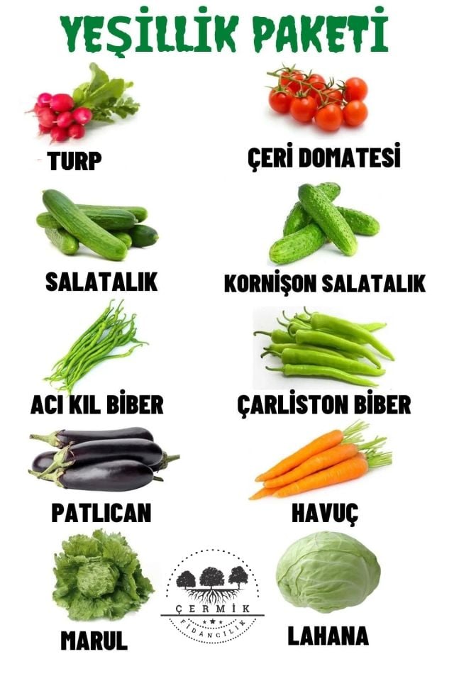 10 Çeşit Karışık Tohum Paketi 3