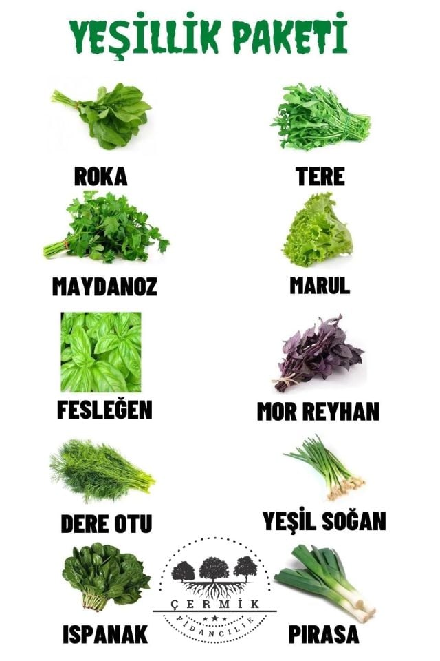 10 Çeşit Karışık Tohum Paketi 1