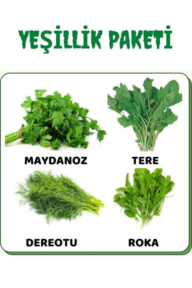 Yeşillik Tohum Paketi Tere , Maydanoz, Dereotu , Roka 40 Gr