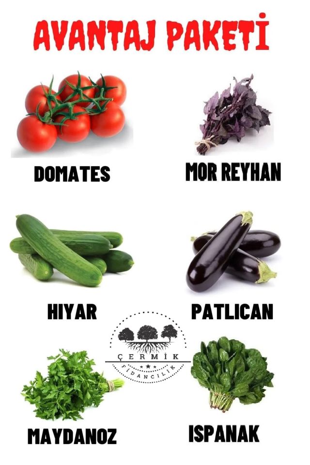 Tohum Paketi Domates ,Mor Reyhan , Hıyar , Patlıcan , Maydanoz , Ispanak 60 Gr