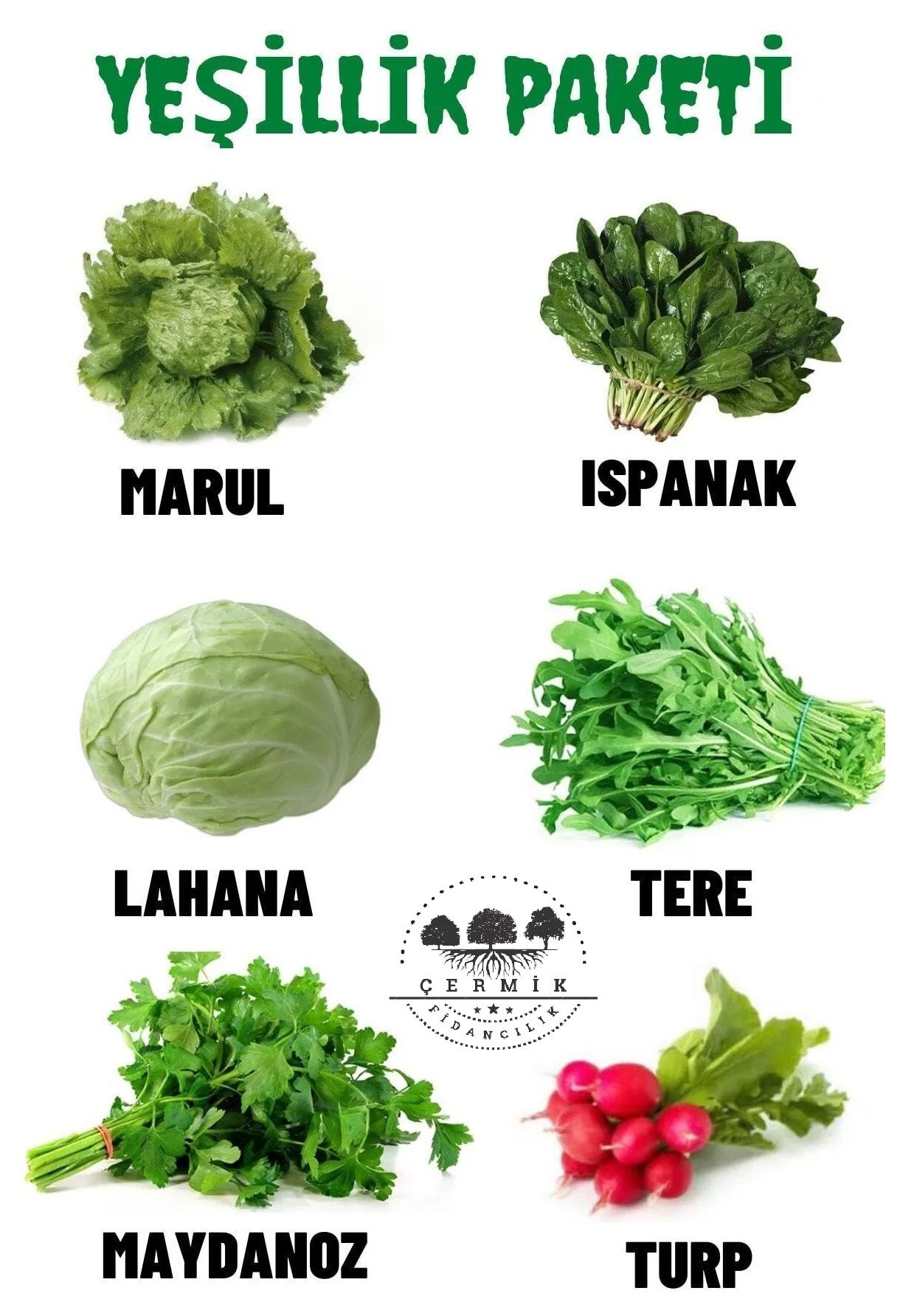 Tohum Paketi Marul, Ispanak , Lahana , Tere , Maydanoz , Turp 60 Gr