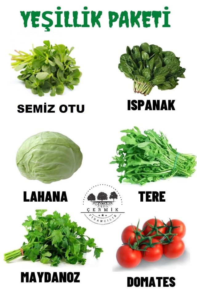 Tohum Paketi Semizotu , Ispanak, Beyaz Lahana , Tere , Maydanoz , Domates 60 Gr