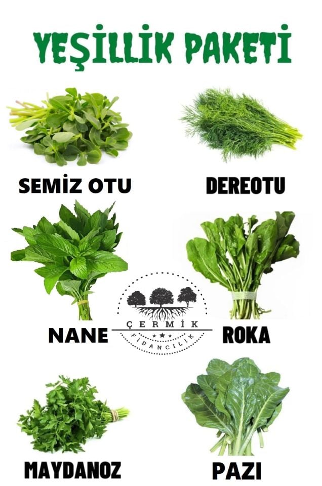 Tohum Paketi Semizotu , Dere Otu, Nane , Roka , Maydanoz , Pazı 60 Gr
