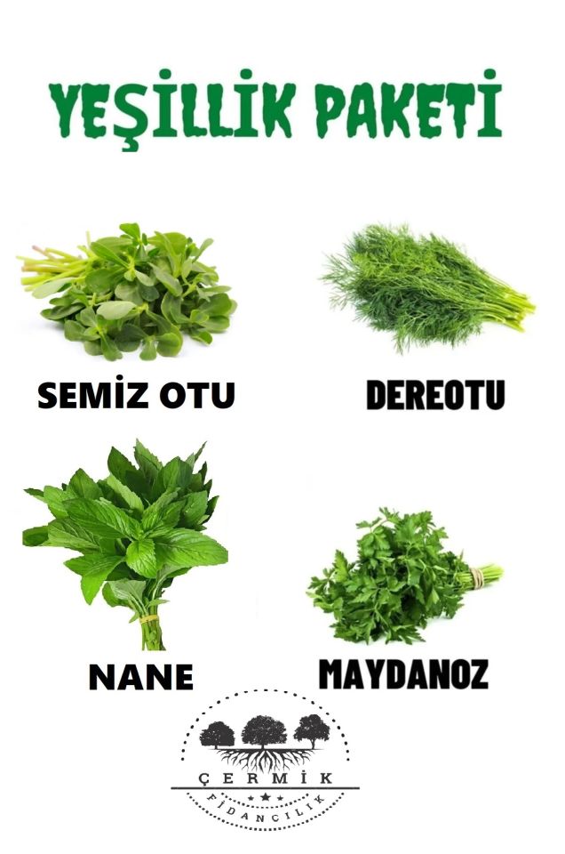 Tohum Paketi Semizotu , Dere Otu , Nane ,Maydanoz , 40 Gr