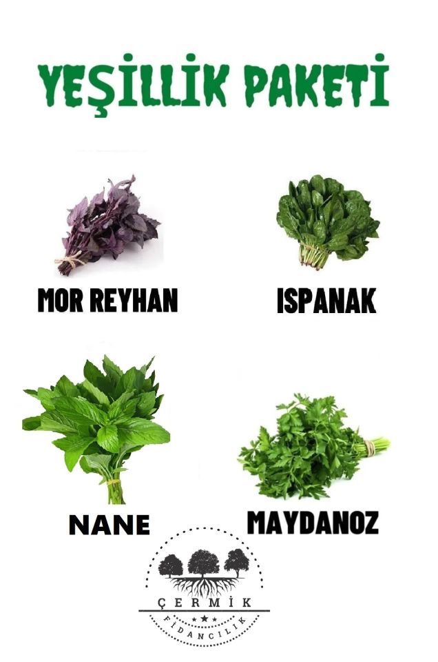 Tohum Paketi Mor Reyhan , Ispanak , Nane ,Maydanoz , 40 Gr