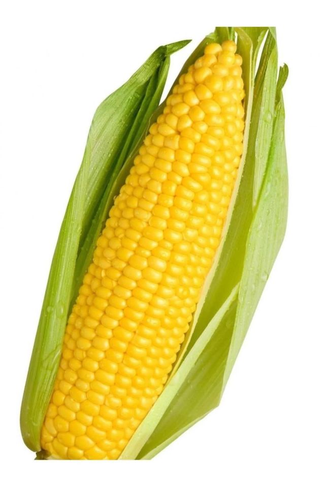 Sarı Mısır Süt Mısır Tohumu Paketi
