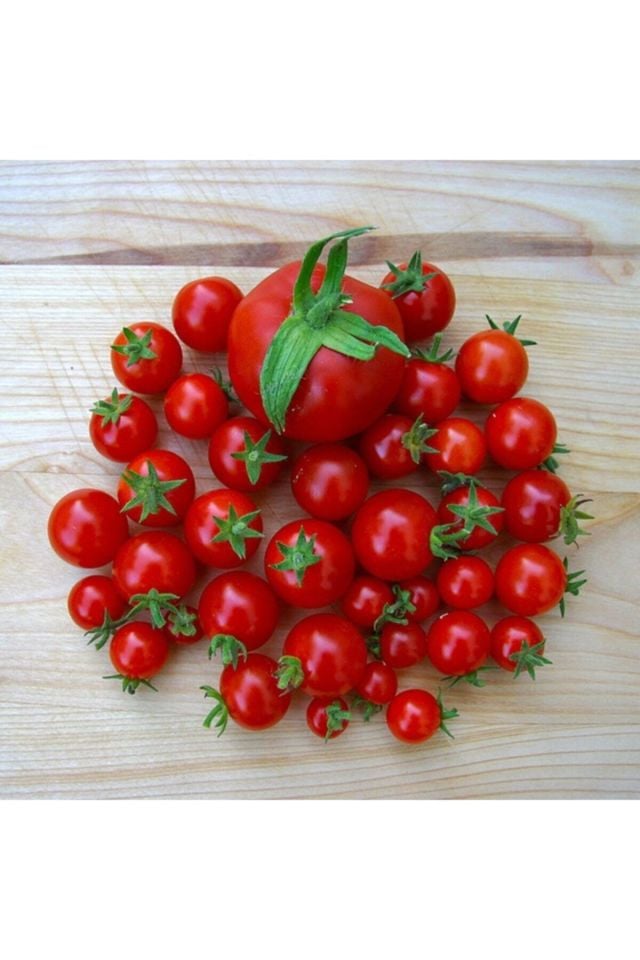 Doğal Kahvaltılık Chery Domates Tohumu Paketi