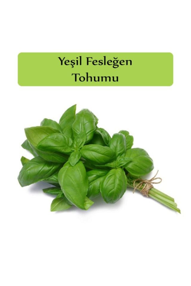 Yeşil Reyhan ( Fesleğen ) Tohumu Paketi