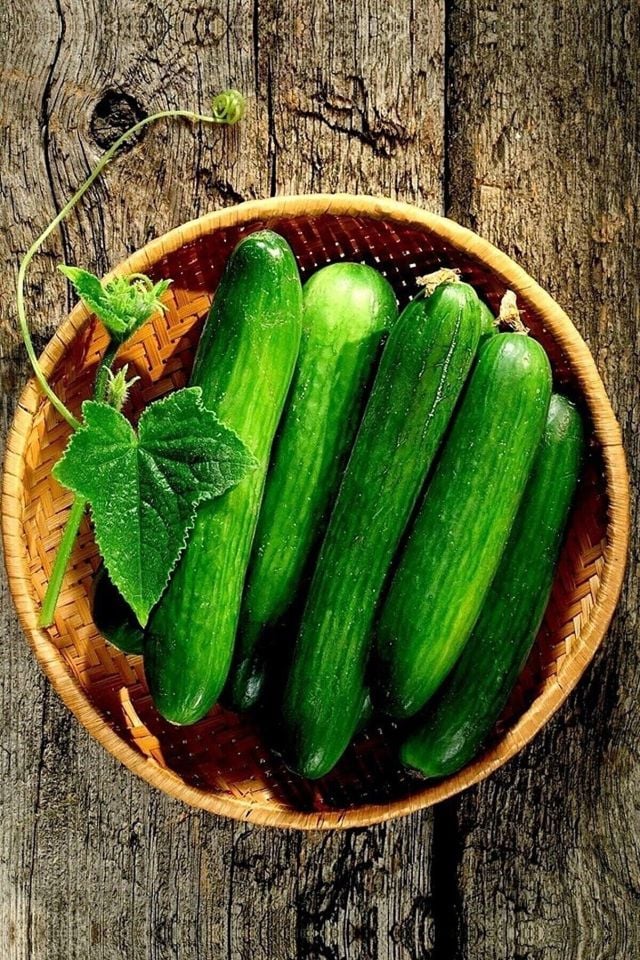 Yediveren Salatalık ( Hıyar ) Tohumu Paketi