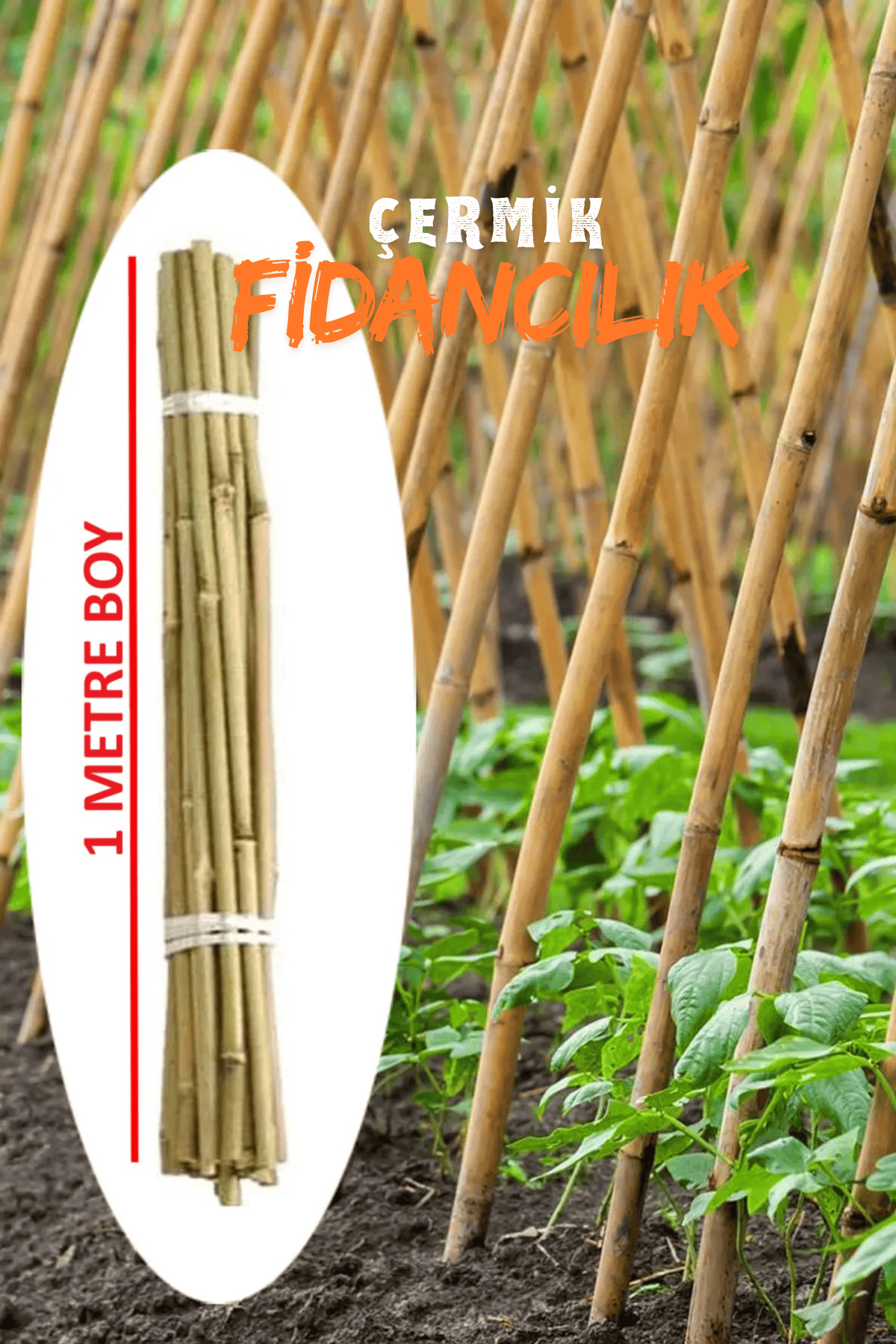Kamış Fidan Bitki Destek Çubuğu 50 Adet 1 Metre Boy