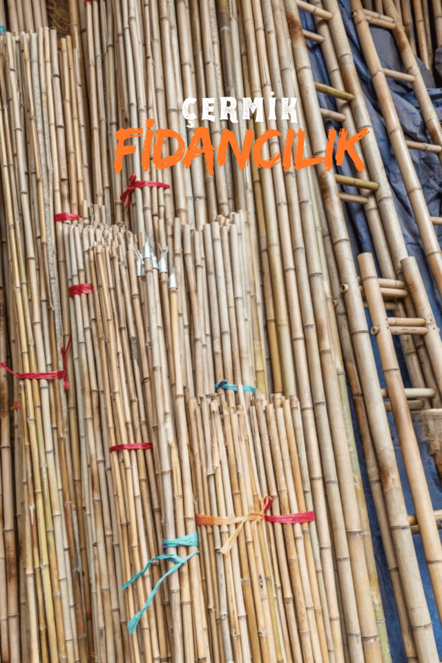 1,5 Metre Fidan Bitki Destek Çubuğu Bambu 30 Adet