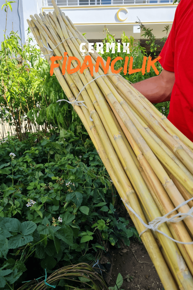 1,5 Metre Fidan Bitki Destek Çubuğu Bambu 40 Adet
