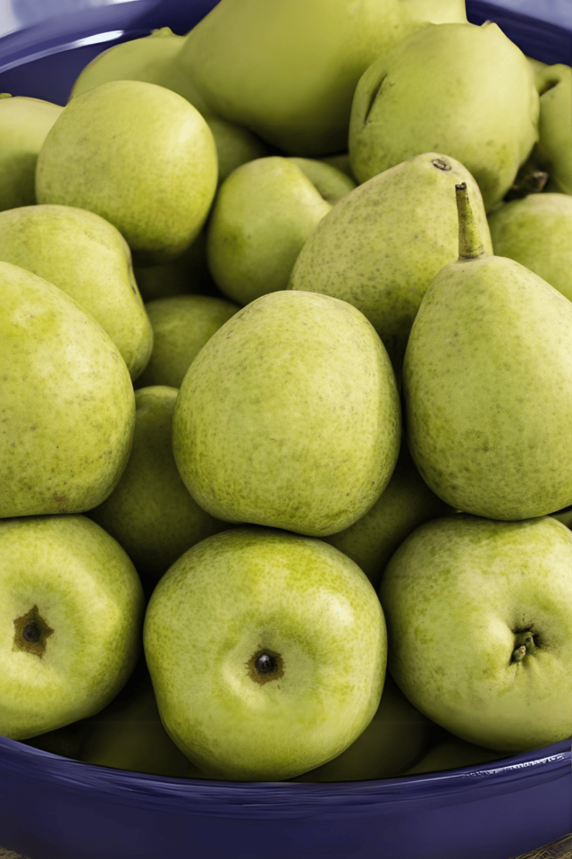 TÜPLÜ Yöresel Ankara Armut Fidanı