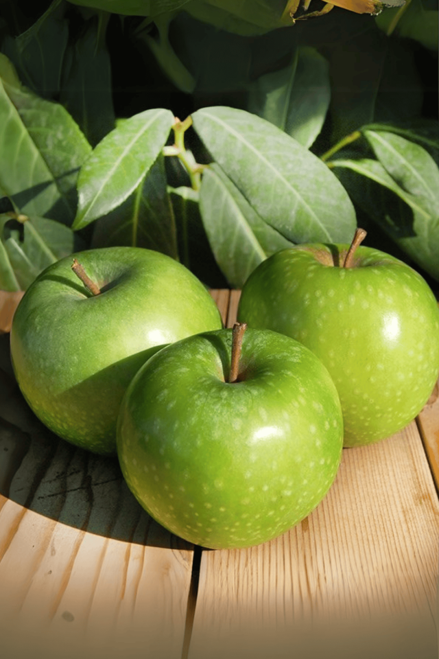 TÜPLÜ Yeşil Elma Fidanı