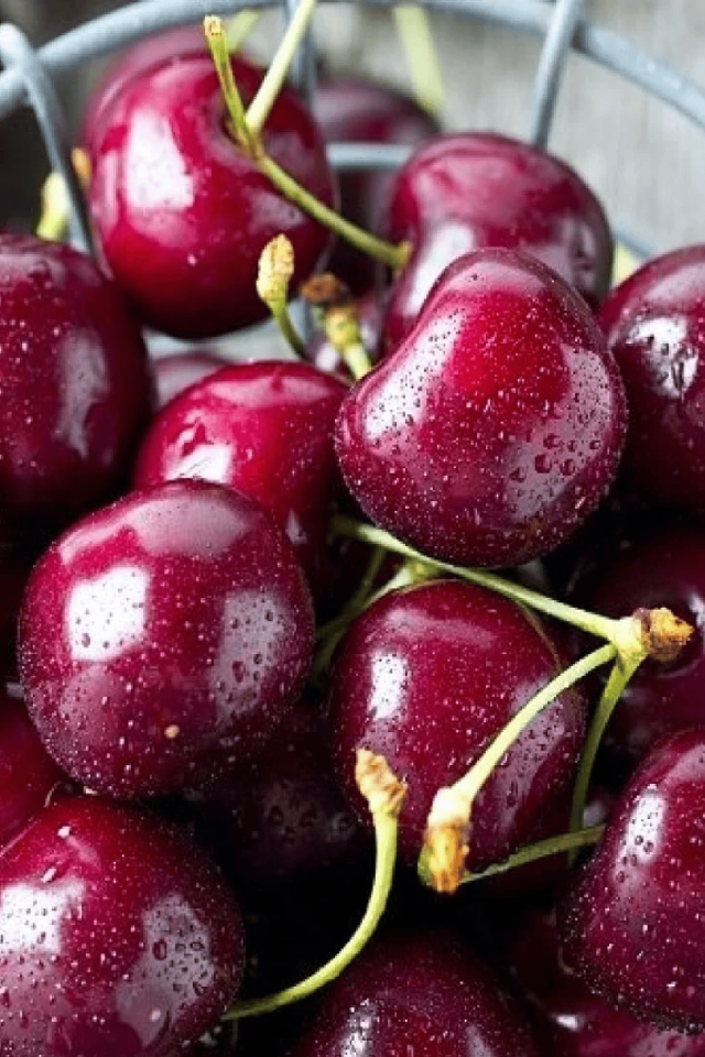 TÜPLÜ Napolyon Kiraz Fidanı