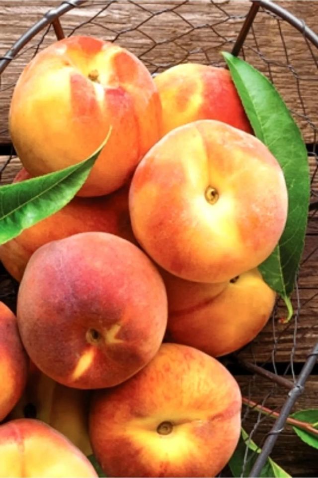 TÜPLÜ Yarma Şeftali Fidanı 3 Yaş