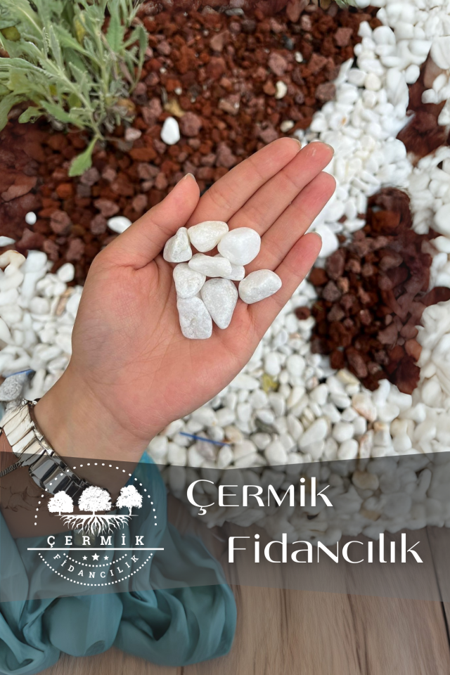 Beyaz Dolomit Taş 5 Kg 1-2 Cm Çakıl Taşı Bahçe Peysaj Süs Taşı