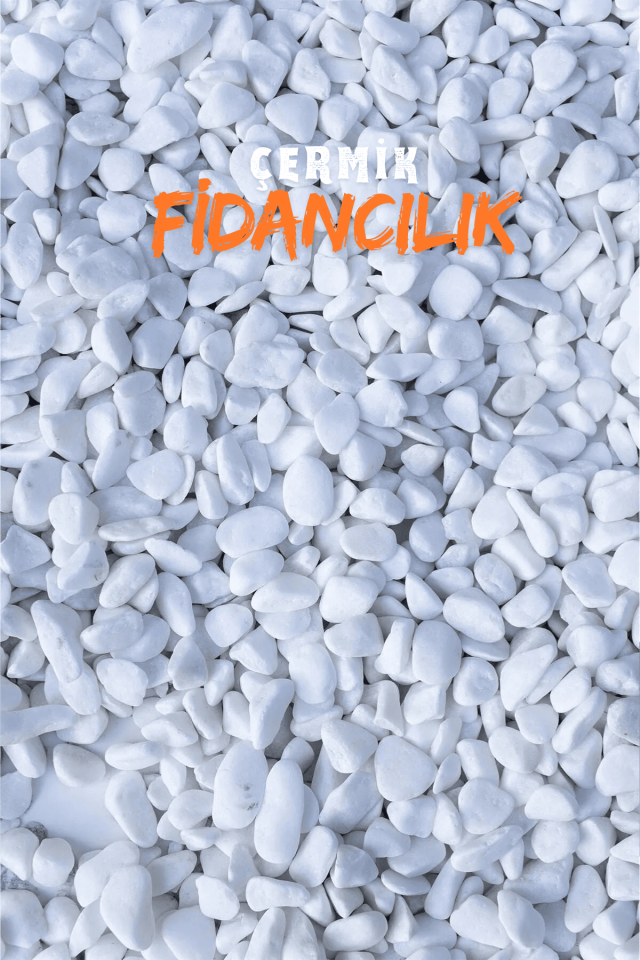 Beyaz Dolomit Taş 10 Kg 2-4 Cm Çakıl Taşı Bahçe Peysaj Süs Taşı