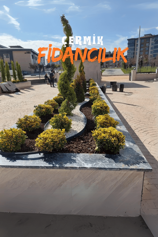 Beyaz Dolomit Taş 10 Kg 2-4 Cm Çakıl Taşı Bahçe Peysaj Süs Taşı